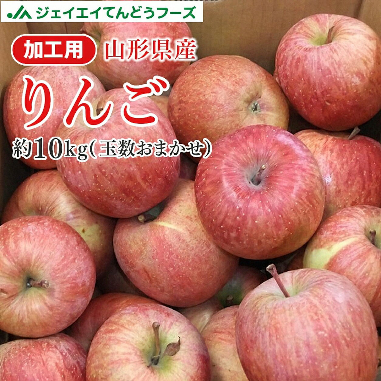 訳あり 加工用りんご 10kg 送料無料 山形県産 約10kg(玉数おまかせ) ※一部地域は別途送料追加 フルーツ 果物