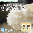 送料無料 10kg 令和5年産　山形県産 あきたこまち 精米　10kg(5kg×2) 一部地域は別途送料追加 rya1005