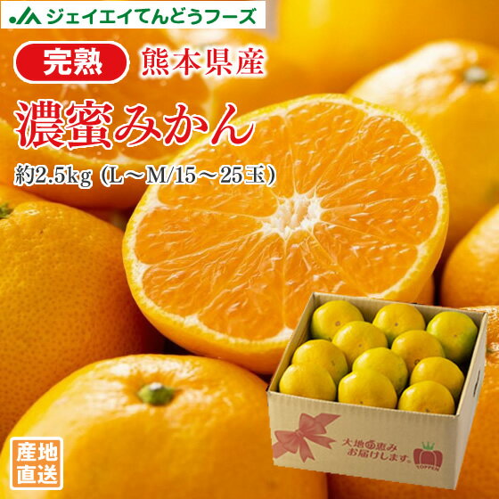 熊本県産 完熟濃密みかん 約2.5kg（15～25玉／L～M） 11月上旬～中旬ころより順次出荷