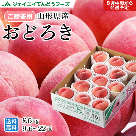 桃 贈答用 桃 もも 山形県産 おどろき秀品　5kg（9〜22玉）　pc09