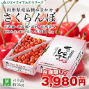 さくらんぼ 品種おまかせ ご家庭用 約1kgバラ詰め 送料無料一部地域は別途送料追加