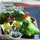 山形 お土産 送料無料 おみづけ&青菜漬セット※一部地域は別途送料追加