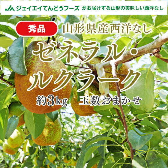 【秀品★西洋梨】山形県産ゼネラルレクラーク約3kg(玉数おまかせ)【送料無料】※一部地域は別途送料追加のサムネイル