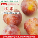 訳あり 山形県産秋姫 約1.2kg(品種おまかせ)※一部地域は別途送料追加 pl03