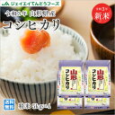 米 送料無料 令和3年産 山形県産コシヒカリ精米 20kg(5kg×4) ※一部地域は別途送料追加 ryk2003