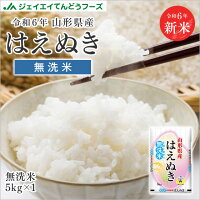 送料無料 令和6年産 山形県産はえぬき無洗米5kg 送料無料※一部地域は別途送料追加 rhm0506