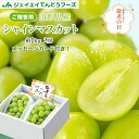 敬老の日 ギフト ぶどう 秀品 山形県産 シャインマスカット 2房(約500g×2) 送料無料