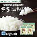 米 お米 令和5年産 山形県産ササニシキ精米 20kg(5kg×4) 送料無料※一部地域は別途送料 rys2005