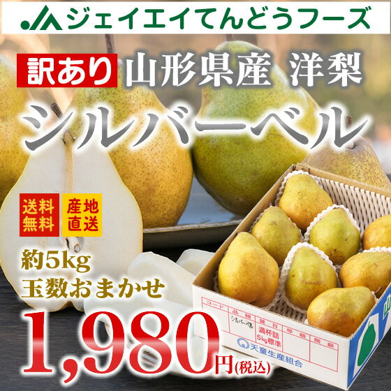 訳あり フルーツ 山形県産西洋梨シルバーベル 約5kg(玉数おまかせ) 送料無料※一部地域は別途送料追加 rf10のサムネイル