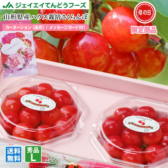 遅れてごめんね母の日 2024年 ギフト　送料無料 さくらんぼ 山形県産 佐藤錦 Lサイズ ダイヤパック入り 送料無料※一部地域を除く mc02