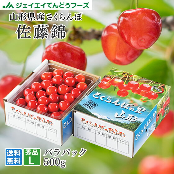 さくらんぼ さくらんぼ 送料無料 ギフト 山形 佐藤錦500gバラパック L玉サイズ ※一部地域は別途送料追加 rc07