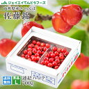 早期予約 さくらんぼ ギフト 送料無料 山形 佐藤錦700g...