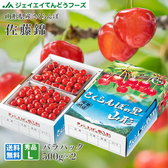 さくらんぼ 送料無料 ギフト 山形 佐藤錦500g×2バラパック L玉サイズ 秀品 ※一部地域は別途送料追加 rc09