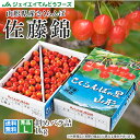 早期予約 さくらんぼ 送料無料 ギフト 山形県産 佐藤錦 Lサイズ 秀品 約1kgバラ詰め ※一部地域を除く rc04