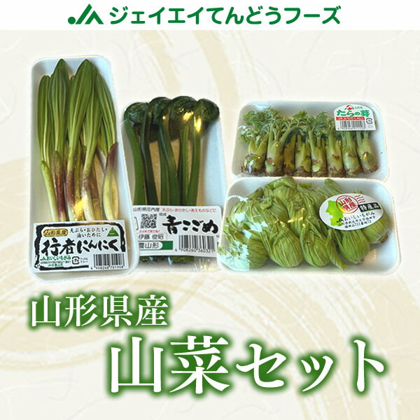 山形県産山菜セット ふきのとう 行者にんにく たらの芽 こごみ おひたし 天ぷら yss05