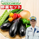 【山形市場厳選】 おまかせ 野菜セット 7品目 送料無料※一部地域は別途送料追加