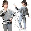 3点セット スウェット 女の子 ルームウェア ロンT セットアップ 子供服 半袖 ボーダー パーカー Tシャツ スウェットパンツ ジョガーパンツ 韓国ファッション ジャージ おしゃれ 小学生