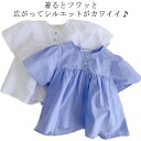 半袖 カットソー ブラウス 女の子 送料無料 子供服 トップス シャツ キッズ 春服 夏服 丸襟 ゆったり カジュアル 無地 シンプル 普段着 通学着 入学式 入園式 卒園式 結婚式 発表会