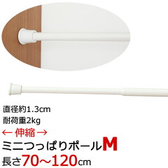 https://thumbnail.image.rakuten.co.jp/@0_mall/tengoku/cabinet/00266159/nmpole-mmain600r.jpg