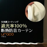 ƥϤΤ ڤ ׸ƥ ׸ ׸Ψ100 1׸ Ǯ ʥɲ URACO(餳) ϶()150cm ƥ󥰼׸ 1  Ǯ Ǯƥ ׸ƥ