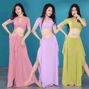 【送料無料】ベリーダンス 衣装 レディース レッスン着 ラテン ベリーダンス衣装 社交ダンス 練習服 セット 無地 ピンク パープル グリーン 舞台 演出服 セ...