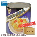【ギリシャ産】フルーツカクテル シラップづけ 1号缶 (固形...