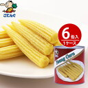 【6缶セット】 ヤングコーン水煮 缶詰 タイ産 ホール 1号...