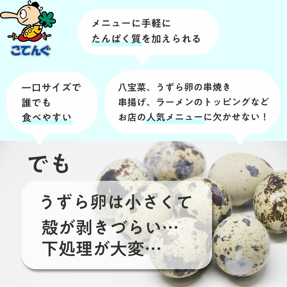 ウッディロープトイ ボール ドッグ G おもちゃ ペット 犬 グッズ アドメイト