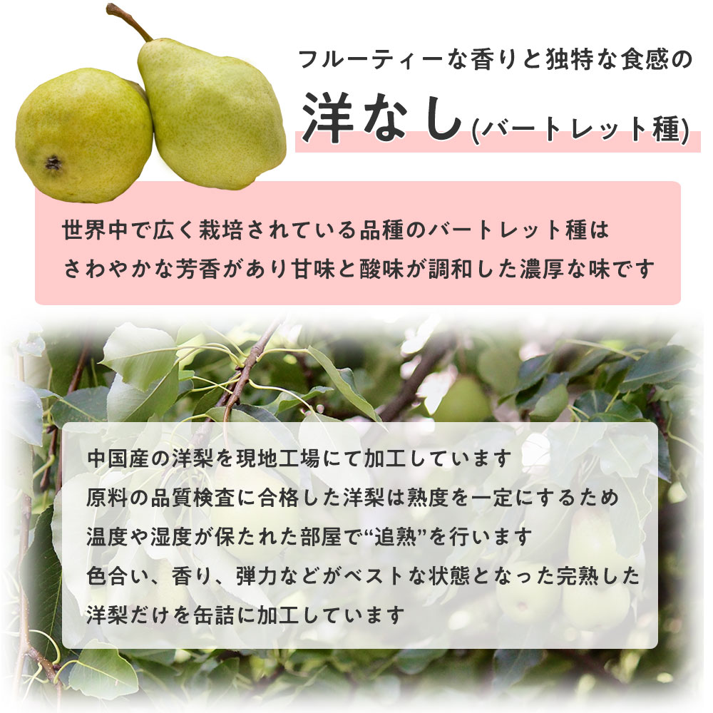 ケース売りはバラ売りよりお得 洋梨ハーフシラップづけ缶詰 洋ナシ 洋なし 缶詰 中国産 ハーフ 2号缶 個数約9 12個x12缶 Sale 78 Off ケース の天狗缶詰 常温長期保存 給食 大容量 11kg 業務用食材