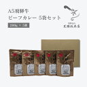 A5 飛騨牛 ビーフカレー 5袋セット (200g × 5) レトルト 中辛・辛口 選択可能 長期保存 配達日時指定可
