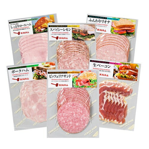 6種類の中からお好きな味が6つ選べるサンドイッチ＆サラダシリーズ　セット 送料無料（※沖縄県、北海道へのお届けは別途送料が加算されます）ハム ベーコン 行楽 サンドイッチ サラダお弁当 遠足 運動会 ピクニックのサムネイル