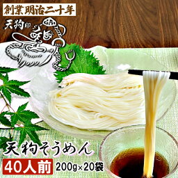 素麺 母の日 そうめん 天狗そうめん 40人前 20袋 保存食 備蓄 非常食 国内製造 ギフト プレゼント 贈答 山形 天童 山本製麺 お祝い 内祝い 誕生日 引っ越し ご挨拶 お取り寄せ 送料無料 非常食 保存食 備蓄