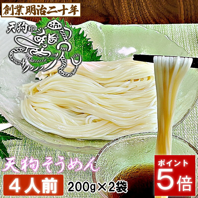 【愛されて130余年】そうめん 素麺 お土産 にゅうめん 天狗そうめん お試し 4人前セット 2袋 保存食 備蓄 非常食 ギフト プレゼント 贈答 山形 天童 ...