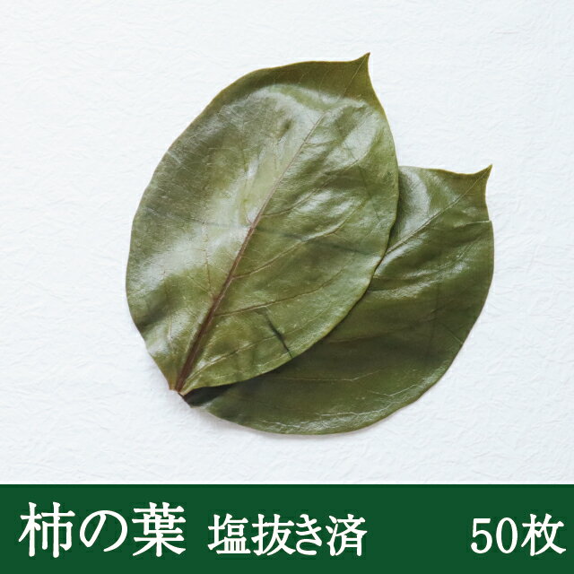 そのまま使える柿の葉 [50枚] 柿の葉 寿司 ...の商品画像