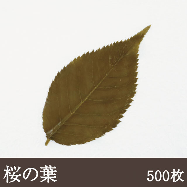 桜の葉塩漬け 茶色 [500枚] 業務用 桜葉 桜餅 和菓子 春 さくら