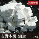 吉野本葛 [固形 5kg] 業務用 天極堂 和食 和菓子 葛粉 葛湯 葛餅 葛切り くず粉 くず湯 くずもち くずきり 水無月 料理素材 粉類 でん粉 奈良 井上天極堂