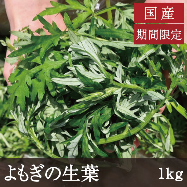 国産 よもぎの生葉 [1kg] 業務用 農薬