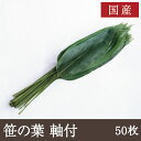 激安 笹の葉 ( 徳用 ) 100枚（枚約30-33CM×約8-9CM）×30P（P400円税別）業務用　ヤヨイ