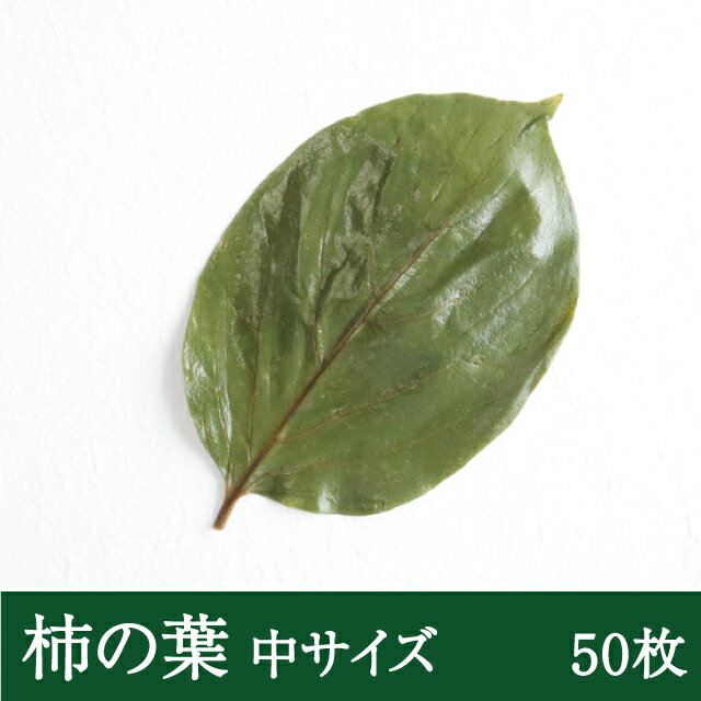 柿の葉塩漬け [50枚] 柿の葉寿司 飾り葉 敷...の商品画像