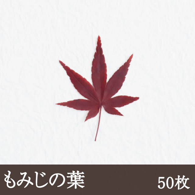 もみじ [50枚 ネコポス便可] 紅葉 もみじの葉 料理 飾り 葉 敷き葉 和食 和菓子 秋