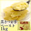 蒸さつま芋ペースト 1kg 天極堂 さつまいも 国産 和食 洋食 和菓子 洋菓子 スイートポテト 栗きんとん 冷凍