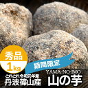 送料無料 丹波 山の芋 期間限定 今期新物 冬限定 丹波篠山産 新物 秀品 箱入り 1kg