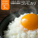 ＼無農薬／ 令和5年産 新米 5kg コシヒカリ 丹波 特別栽培 こしひかり 丹波篠山産 兵庫県 送料無料