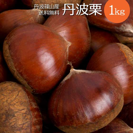 丹波栗 生栗 大粒 人気 丹波篠山産 1kg 令和7年 無選別 数量限定 丹波 生 国産 兵庫県のサムネイル