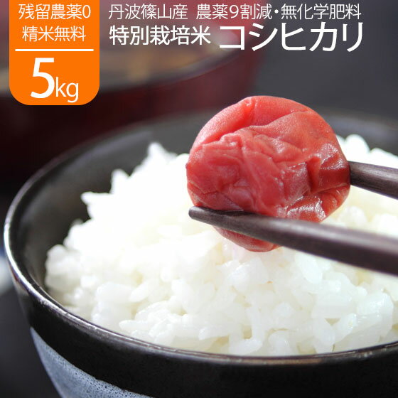 丹波 令和5年産 新米 5kg 丹波篠山産 コシヒカリ 有機米 兵庫県 送料無料 1