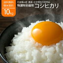 無農薬 令和5年 新米 丹波 コシヒカリ 10kg 特別栽培米 丹波篠山産 こしひかり 白米 兵庫県 送料無料