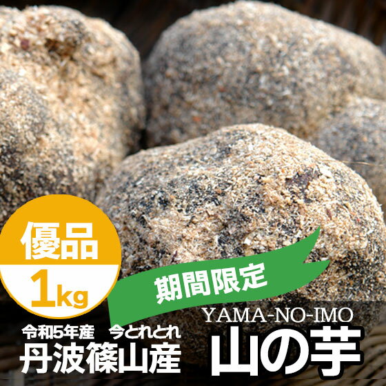 丹波 山の芋 1kg 期間限定 今期新物 冬限定 丹波篠山産 新物 優品 箱入り 送料無料