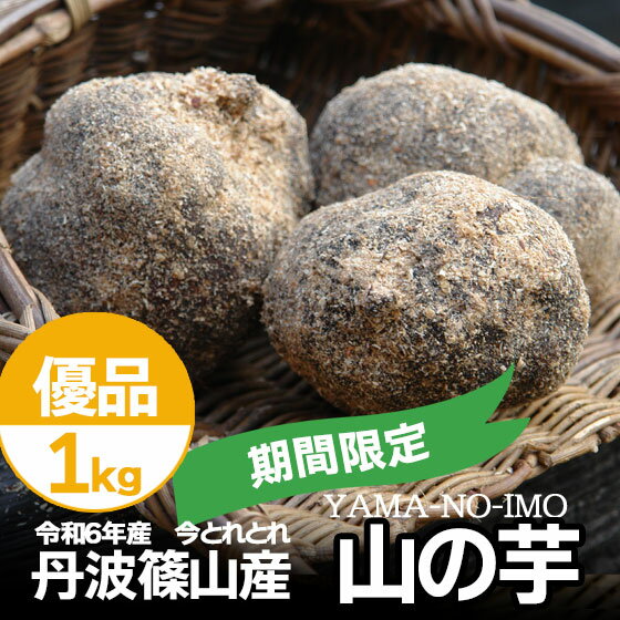 丹波 山の芋 1kg 期間限定 今期新物 冬限定 丹波篠山産 新物 優品 箱入り 送料無料