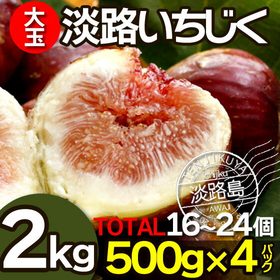 いちじく 無花果 生いちじく イチジク 2kg 500g×4パック 約24個入り 特別栽培 ドーフィン 無添加 朝採れ 冷蔵便 淡路島産 産地直送