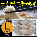 母の日 ギフト エテカレイ えてかれい 一夜干し (大)サイズ 6尾セット カレイ 干物 冷凍便 山陰 日本海 兵庫県
